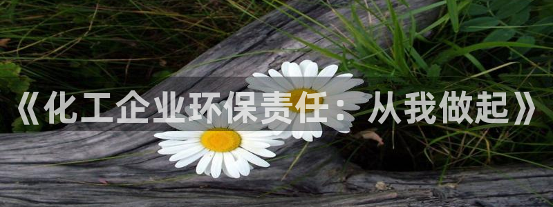 亿万问答：《化工企业环保责任：从我做起》