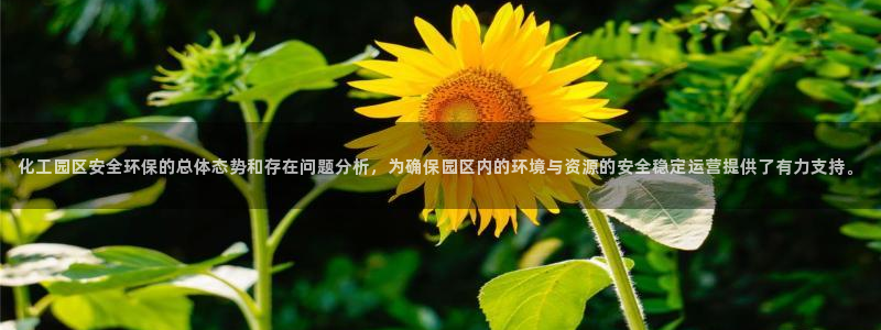 亿万百度贴吧：化工园区安全环保的总体态势和存在问题分析，为确保园区内的环境与资源的安全稳定运营提供了有力支持。