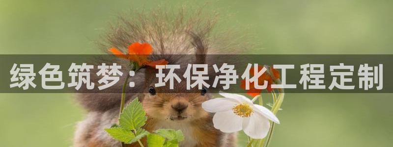 亿万贴吧：绿色筑梦：环保净化工程定制