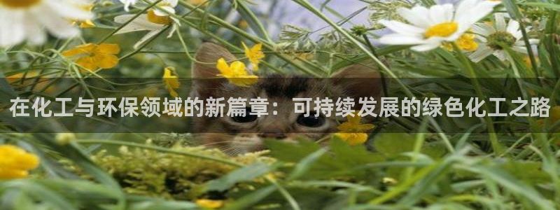 亿万先生手机版入口在哪看：在化工与环保领域的新篇章：可持续发展的绿色化工之路