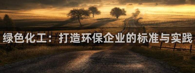 亿万先生合并：绿色化工：打造环保企业的标准与实践