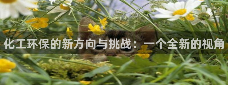 亿万剪辑：化工环保的新方向与挑战：一个全新的视角
