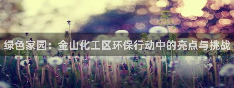 亿万手游官网：绿色家园：金山化工区环保行动中的亮点与挑战