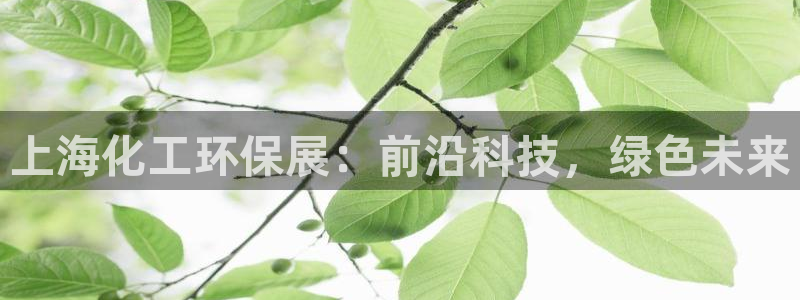 mr8001亿万先生在线存款：上海化工环保展：前沿科技，绿色未来
