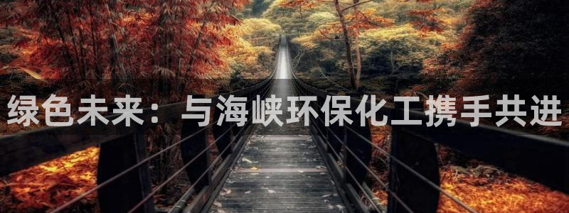 亿万先生手机版入口在哪看：绿色未来：与海峡环保化工携手共进