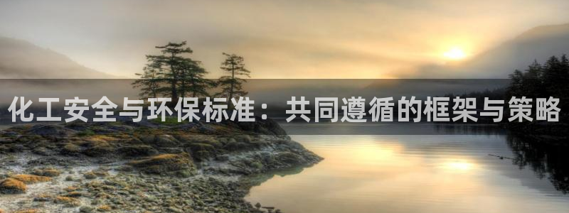 电影亿万：化工安全与环保标准：共同遵循的框架与策略