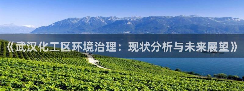 亿万网络科技有限公司：《武汉化工区环境治理：现状分析与未来展望》