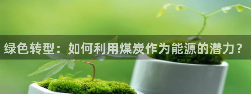 亿万先生换网址了吗：绿色转型：如何利用煤炭作为能源的潜力？