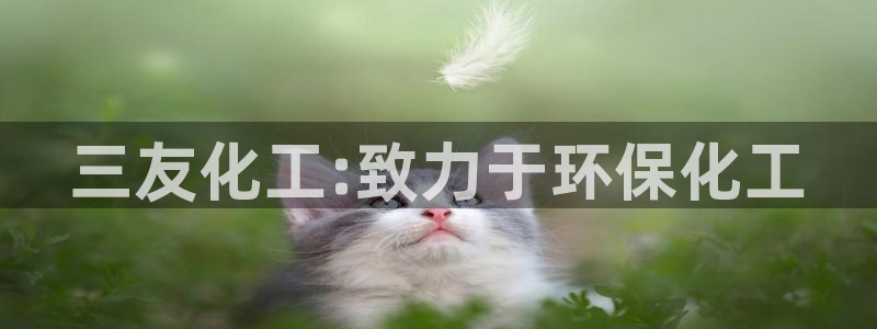 亿万国际合法吗：三友化工:致力于环保化工