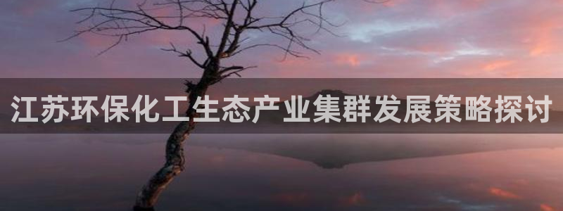 亿万先生合并网址是多少：江苏环保化工生态产业集群发展策略探讨