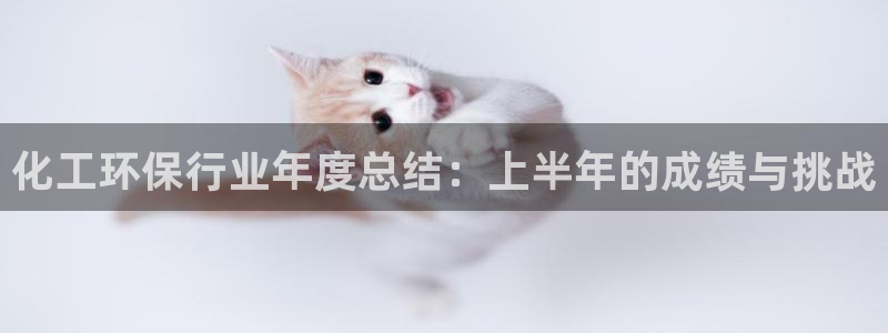 亿万先生客户端官网下载：化工环保行业年度总结：上半年的成绩与挑战