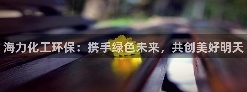 亿万先生下载网址app：海力化工环保：携手绿色未来，共创美好明天