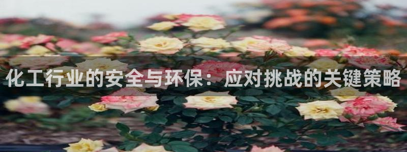 亿万先生是男是女：化工行业的安全与环保：应对挑战的关键策略