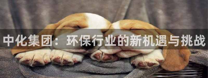 亿万国际游戏官网：中化集团：环保行业的新机遇与挑战