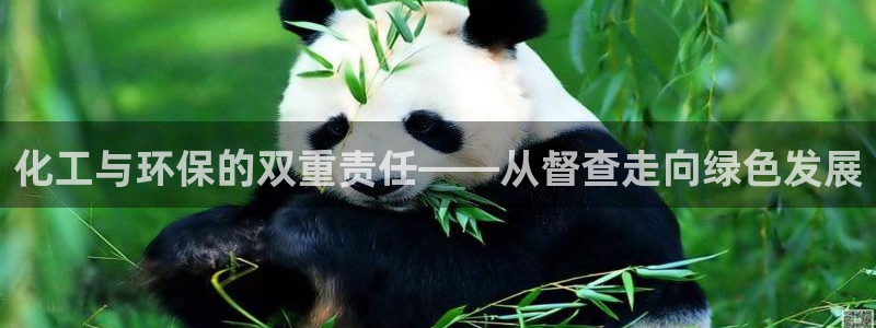 亿万先生手机版入口在哪：化工与环保的双重责任——从督查走向绿色发展