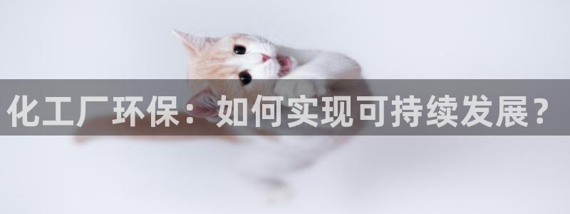 电影 亿万：化工厂环保：如何实现可持续发展？