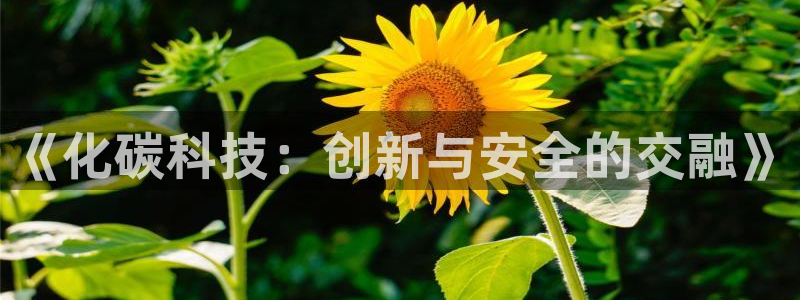 亿万第一季百科