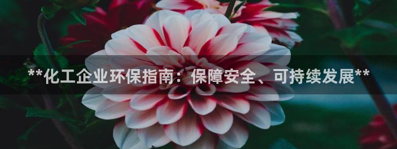 亿万先生游戏平台网址