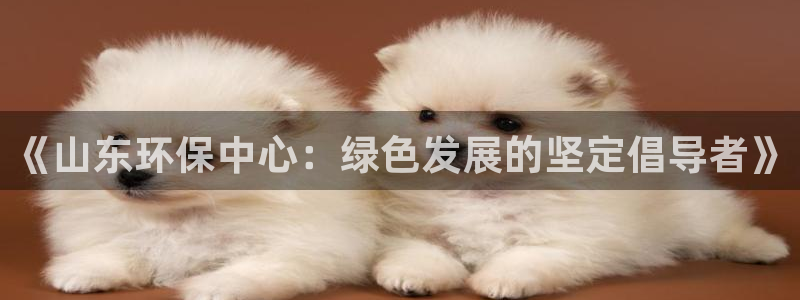 mr003亿万先生：《山东环保中心：绿色发展的坚定倡导者》