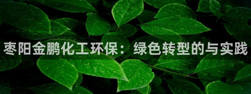 亿万先生官方网站:枣阳金鹏化工环保:绿色转型的与实践
