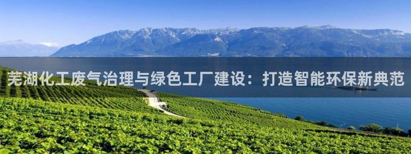 亿万手游官网：芜湖化工废气治理与绿色工厂建设：打造智能环保新典范
