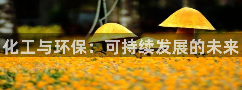 亿万先生 菲律宾：化工与环保：可持续发展的未来