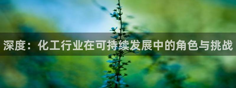 亿万先生手机客户端：深度：化工行业在可持续发展中的角色与挑战