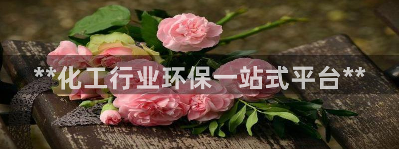 亿万先生手机版入口在哪下载：**化工行业环保一站式平台**