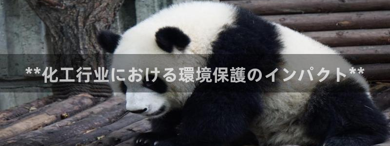 亿万先生官方网站客户端下载安装最新版：**化工行业における環境保護のインパクト**